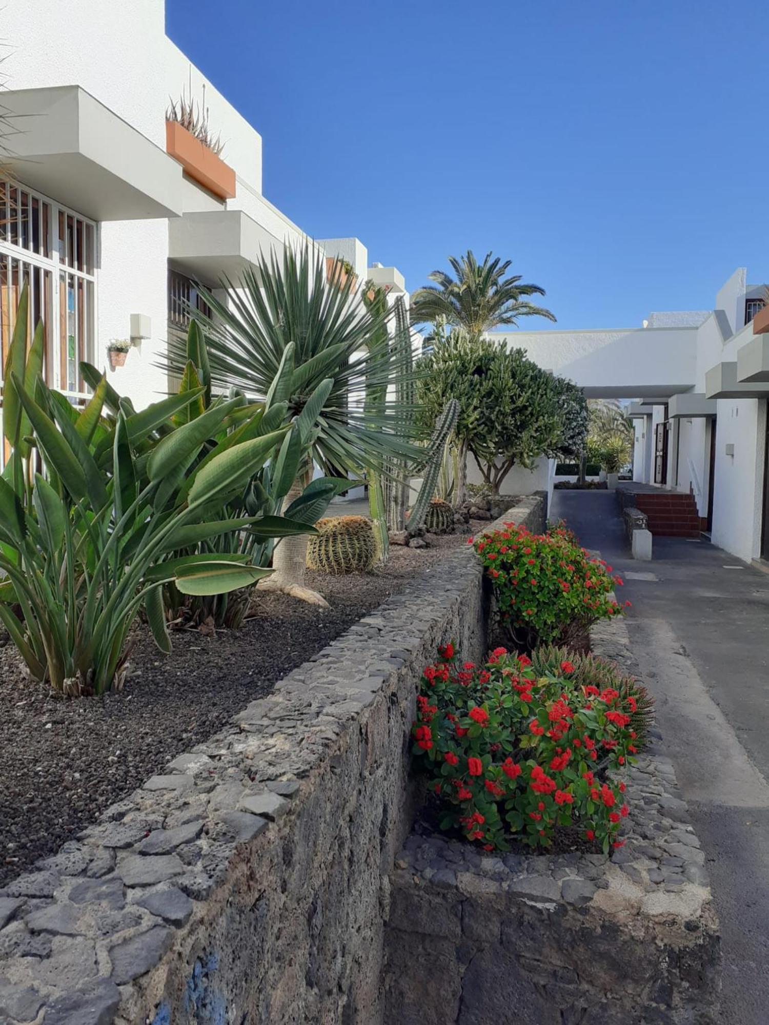 Precioso Apartamento Costa Del Silencio Exteriér fotografie