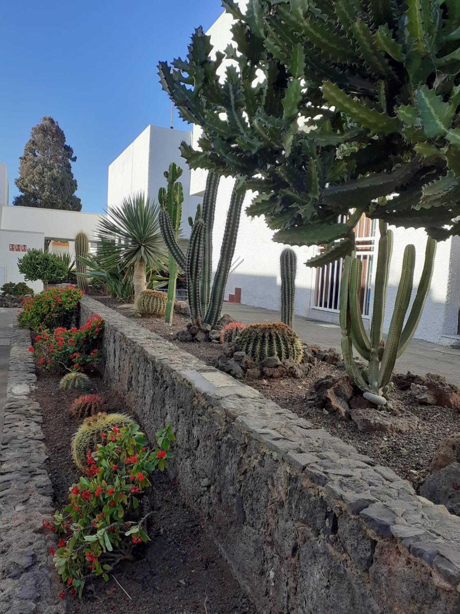 Precioso Apartamento Costa Del Silencio Exteriér fotografie
