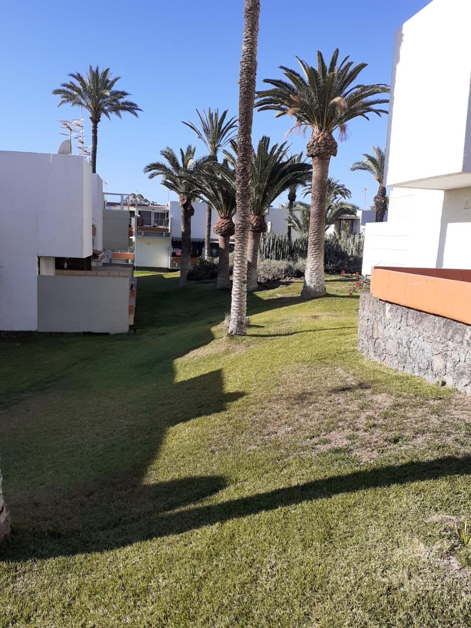 Precioso Apartamento Costa Del Silencio Exteriér fotografie